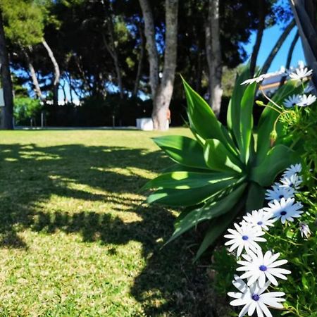 ¡Nuevo! Zona Tranquila Cerca De La Playa De La Carihuela Lejlighed Torremolinos Eksteriør billede