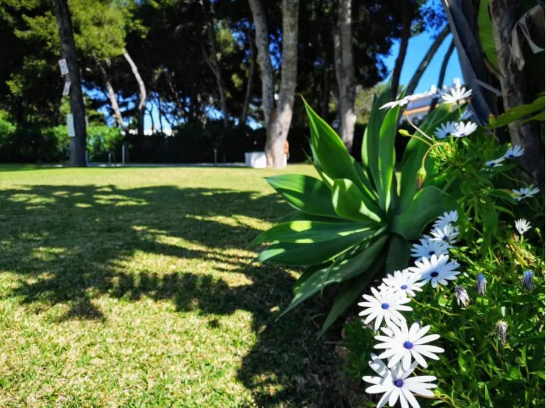 ¡Nuevo! Zona Tranquila Cerca De La Playa De La Carihuela Lejlighed Torremolinos Eksteriør billede